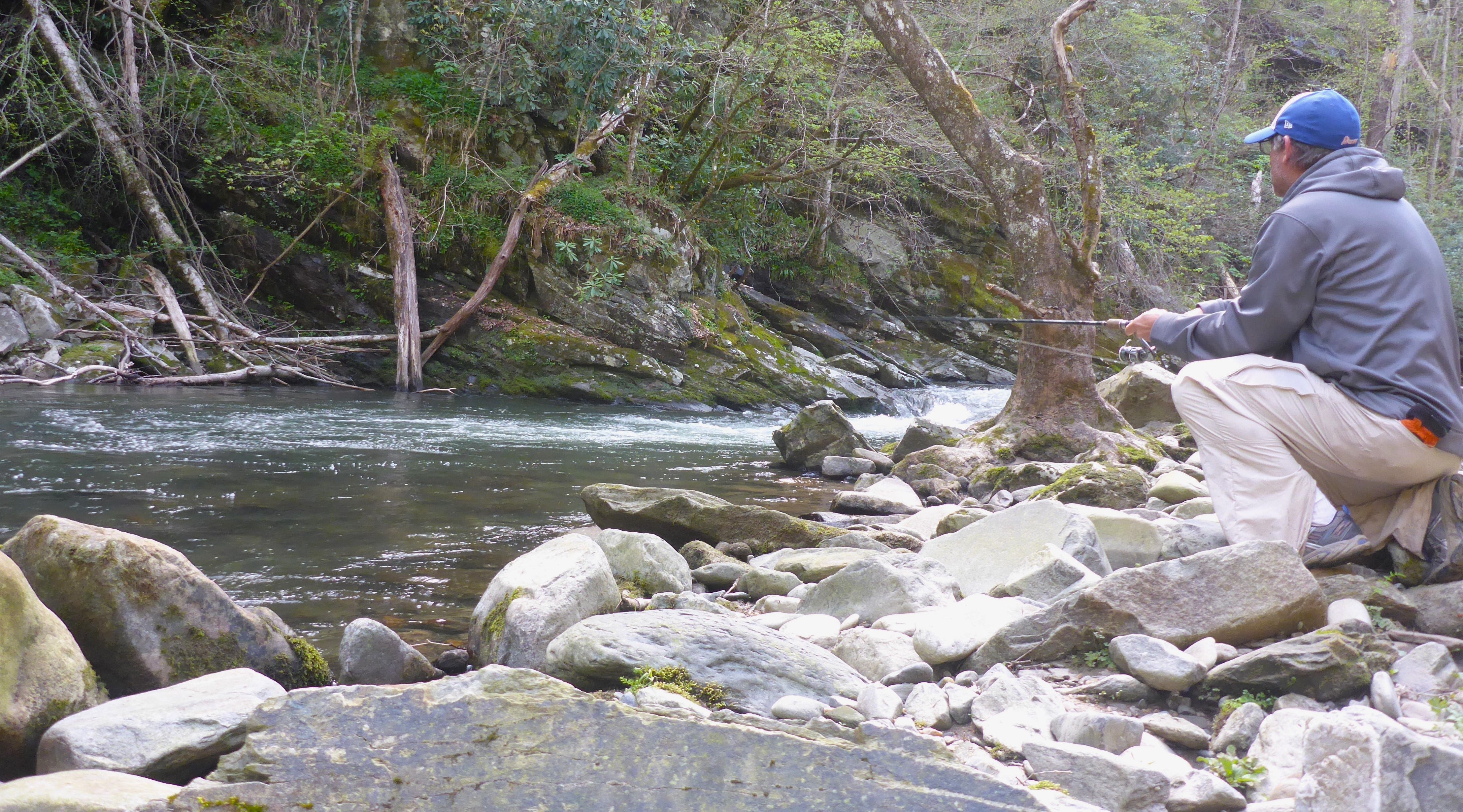 stealthy trout fishing