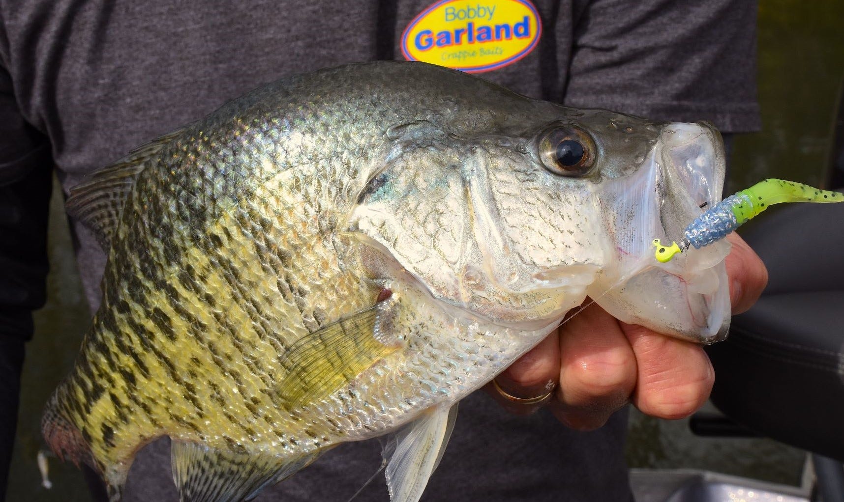 crappie on Head Dockt'R Jighead