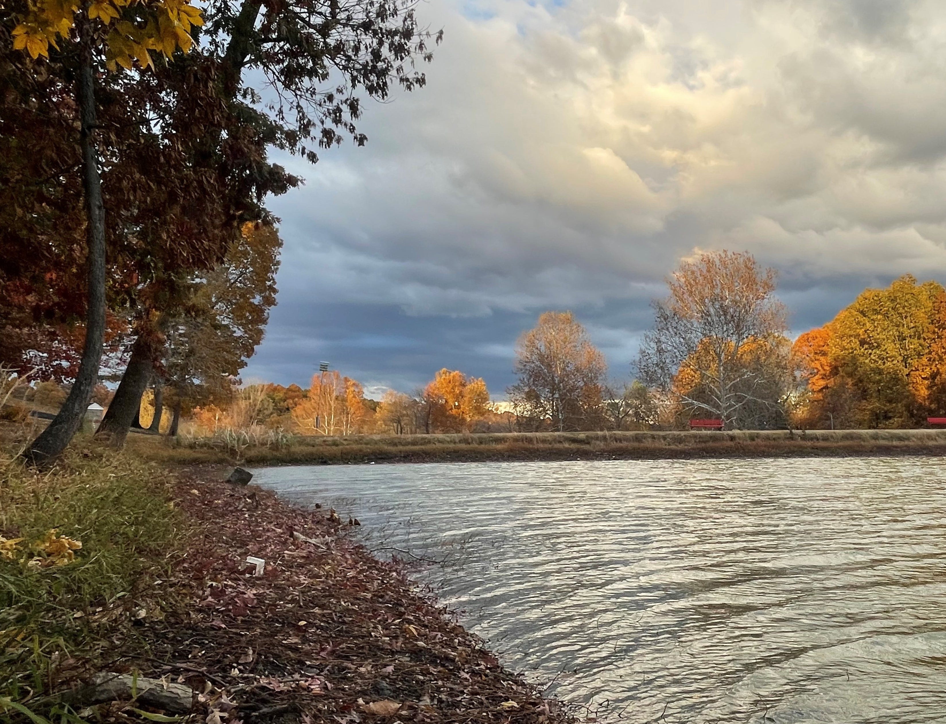autumn pond bank