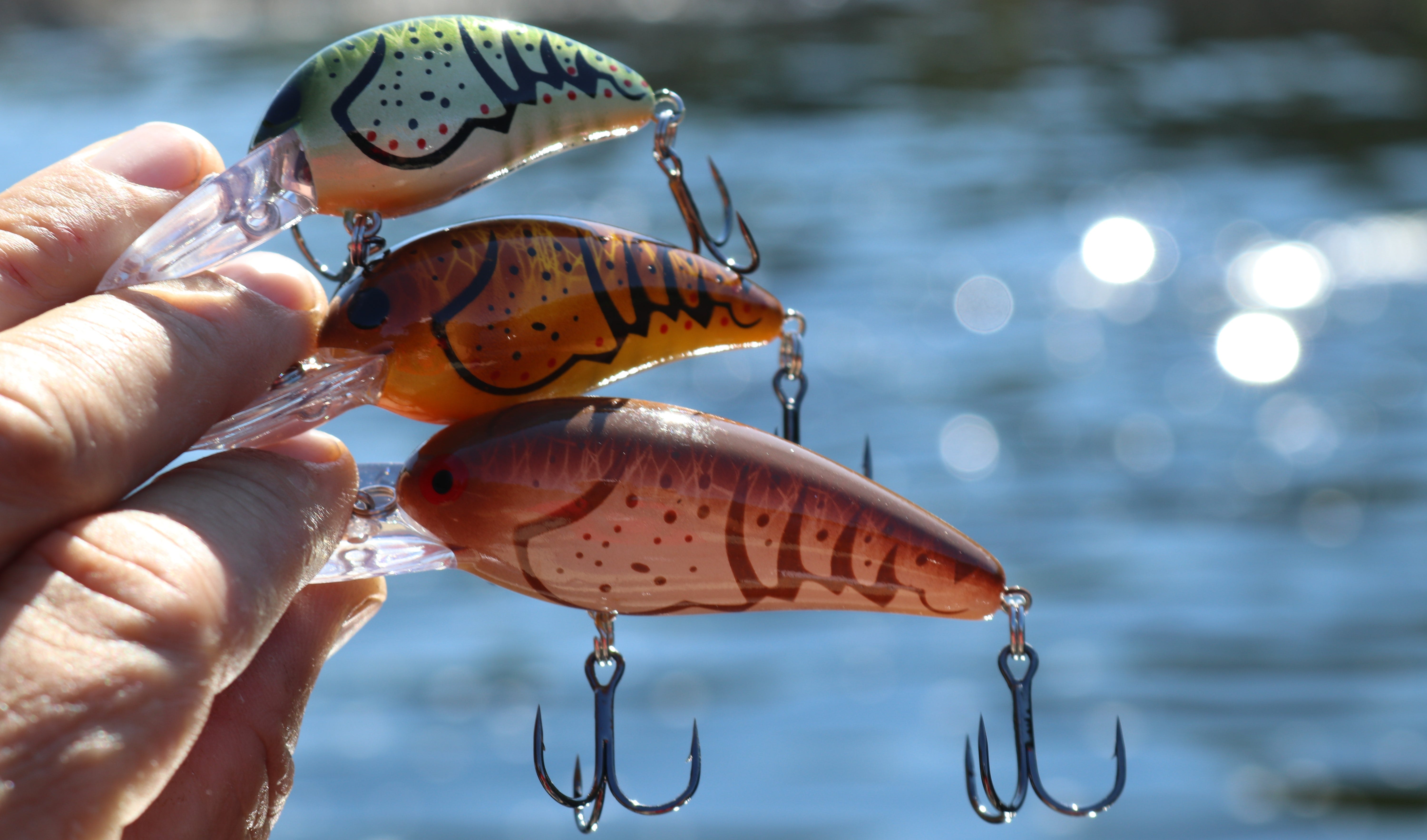 Bomber Crankbait Colors