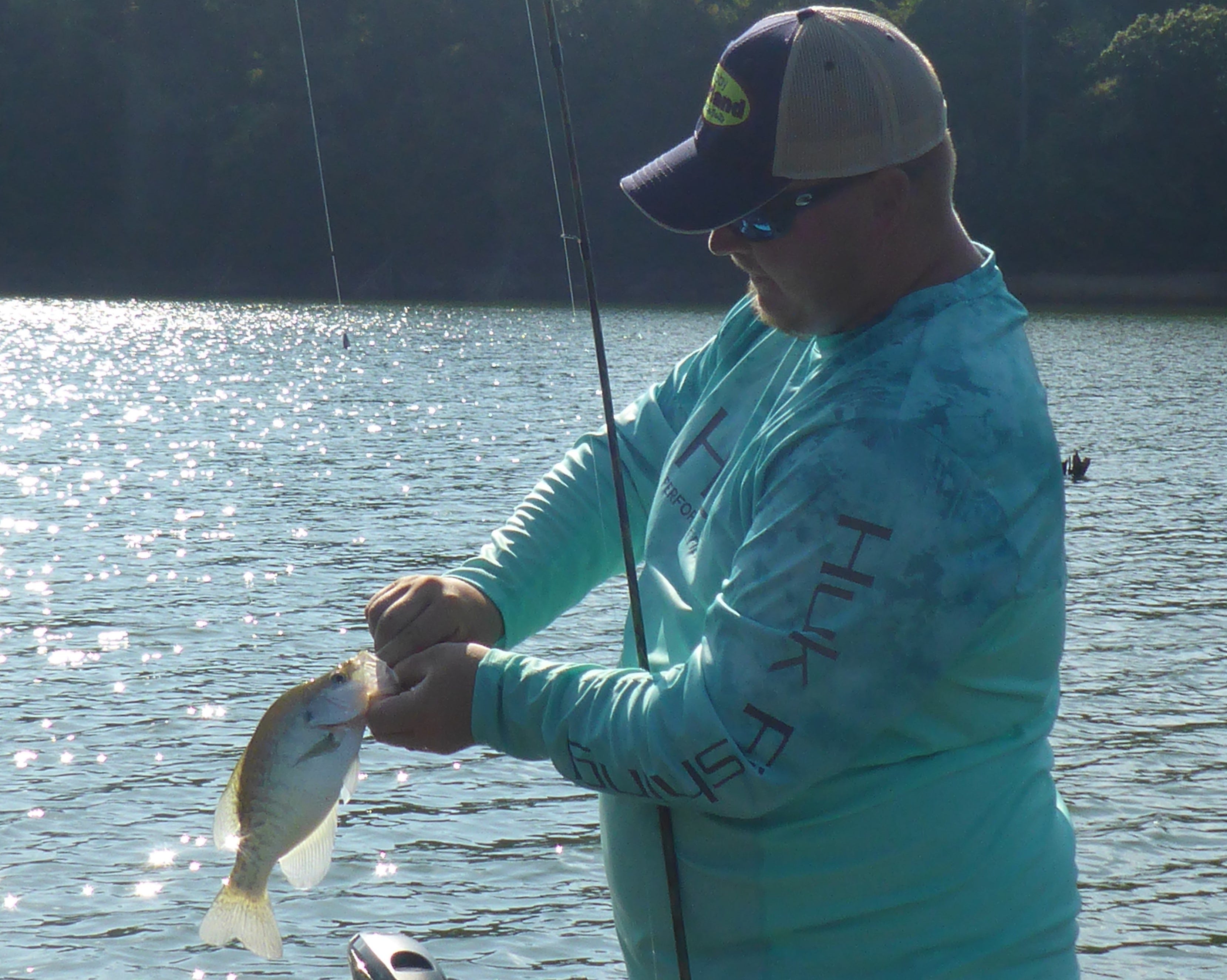 Beaver Lake Crappie