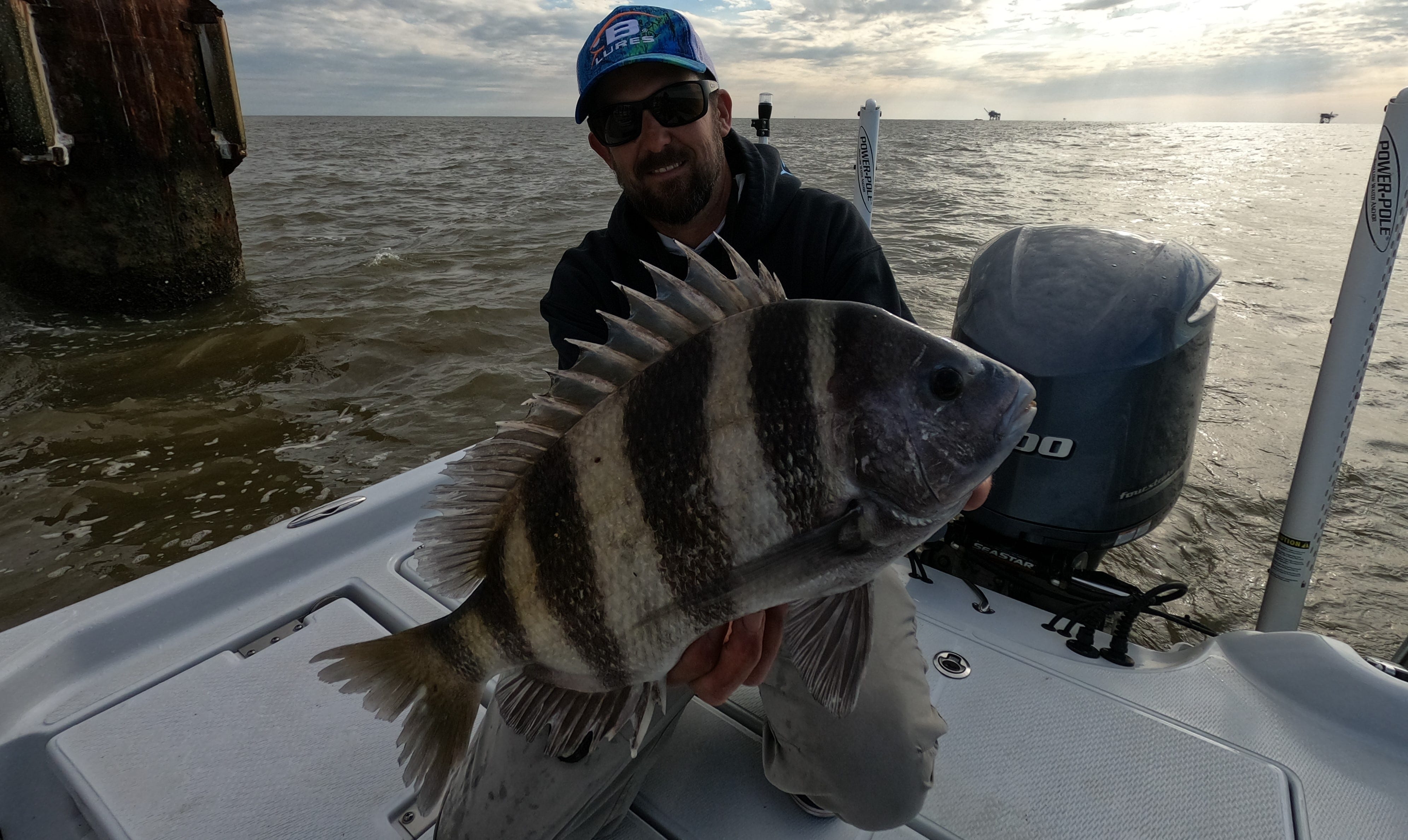 sheepshead catch