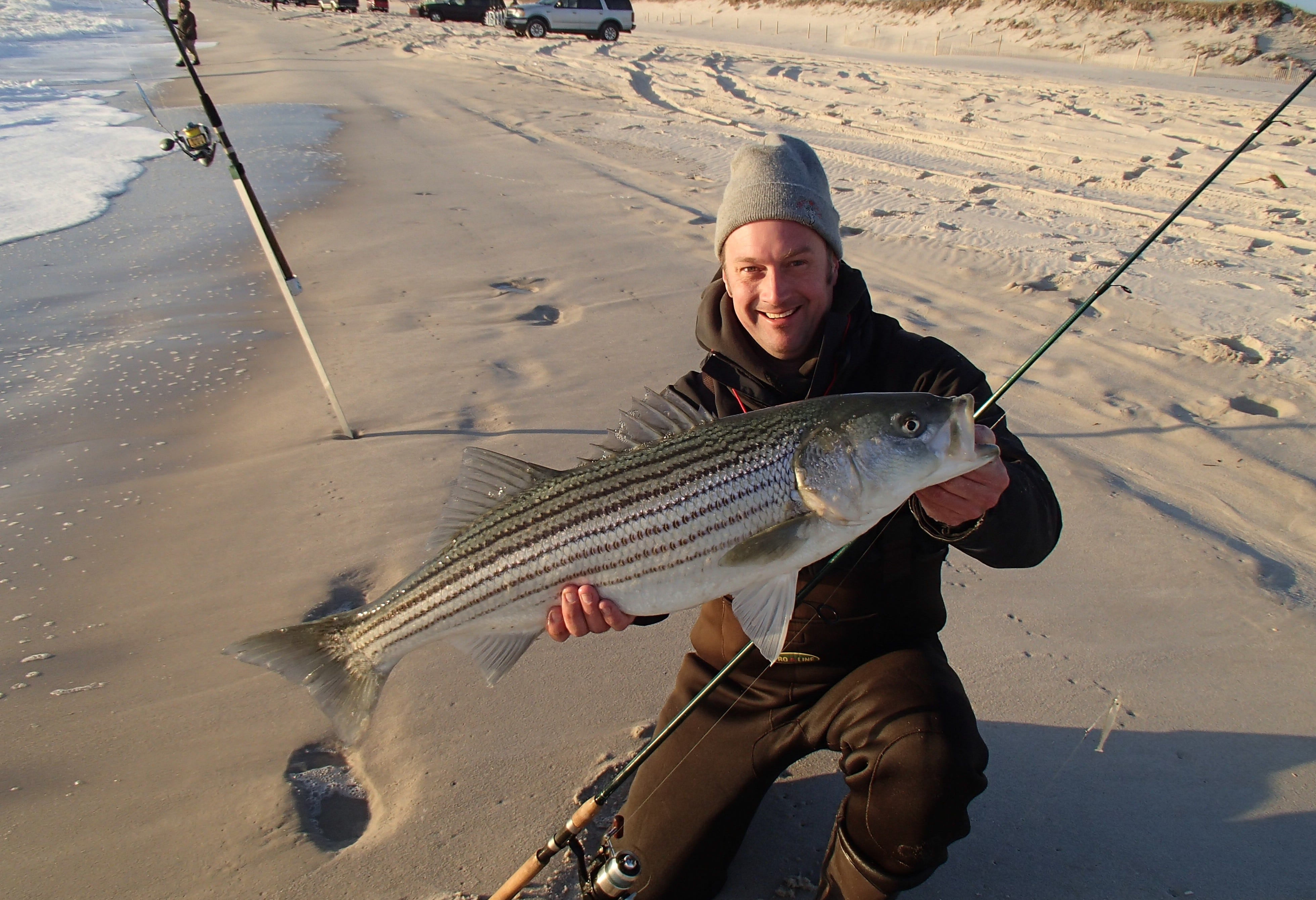 striped bass surf catch