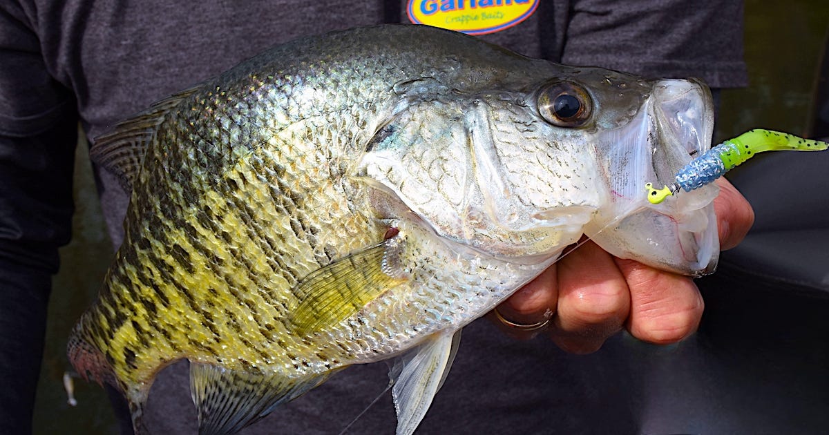 Your Guide to Spring Bank Fishing for Crappie