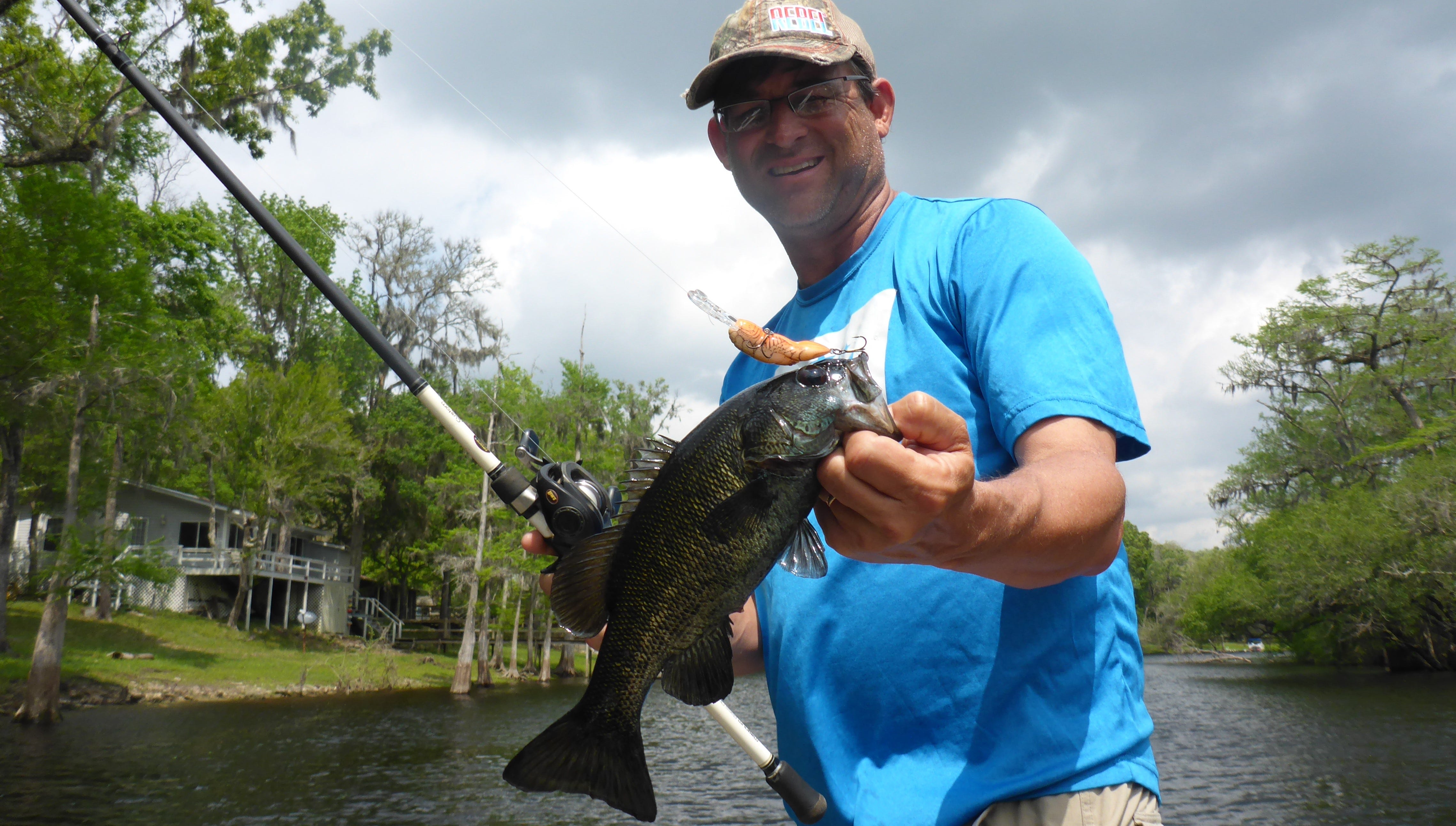 Suwannee bass on Rebel Crawfish