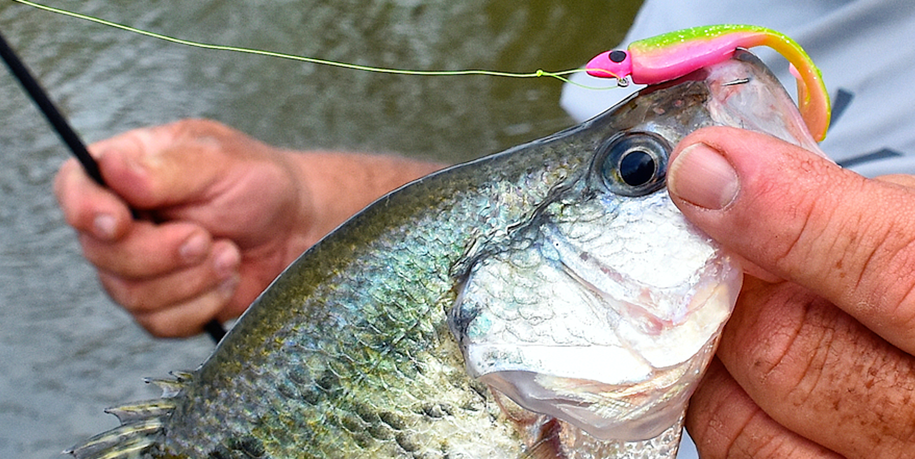 crappie jighead and bait color matching