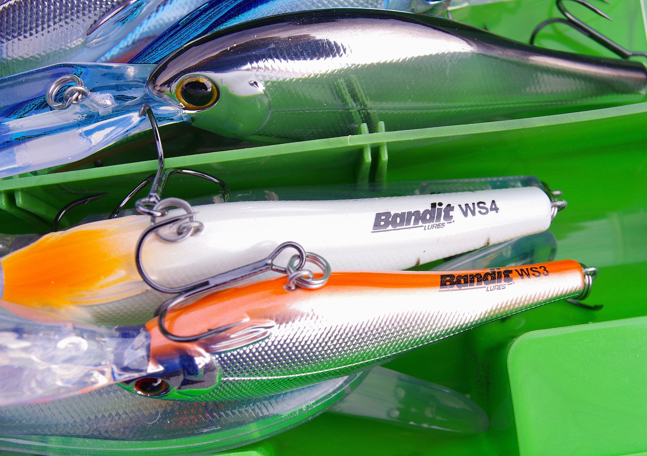 Walleye Shad sizes