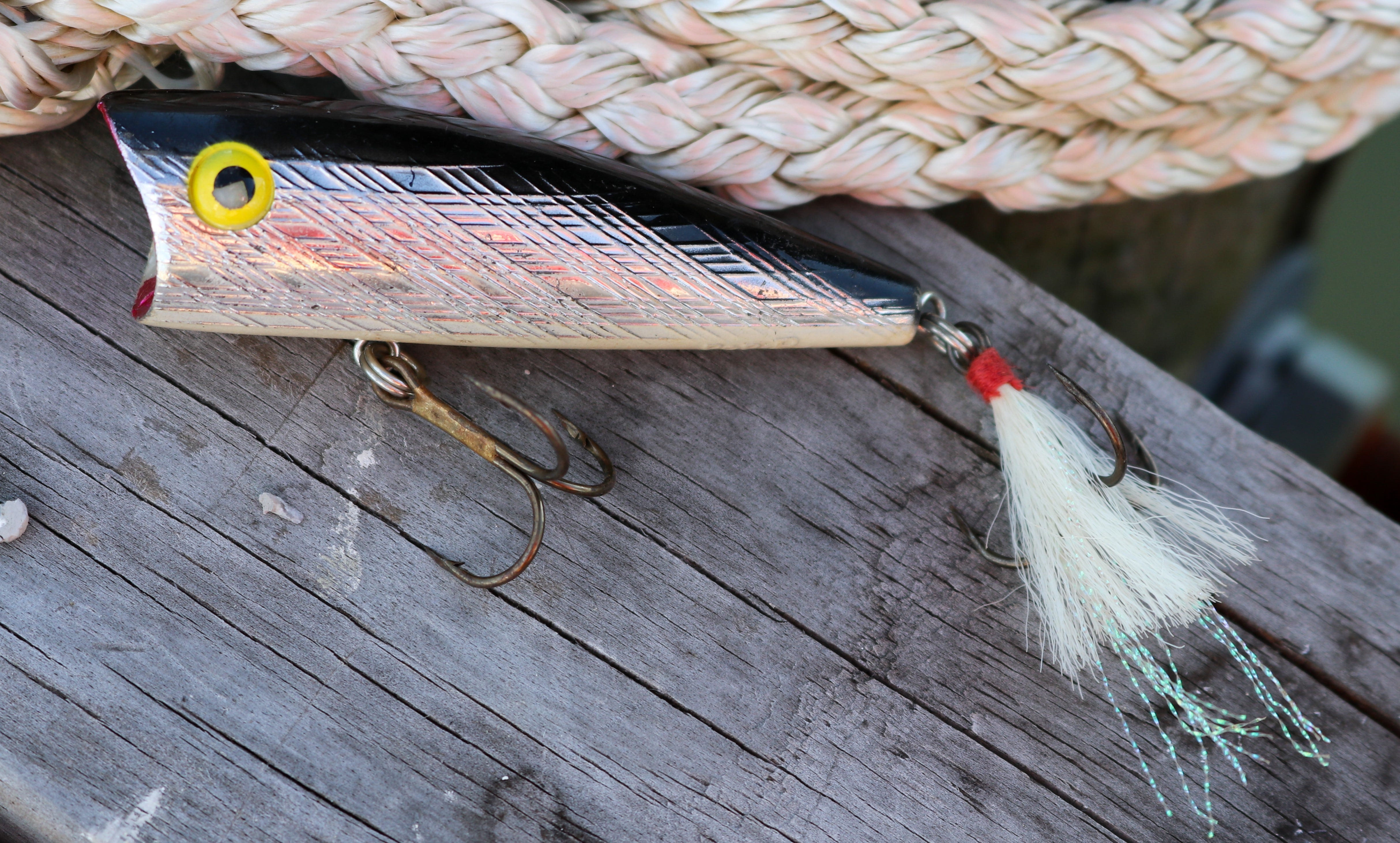 Fishing lure review: Rebel's Teeny Pop-R a bite-sized treat for bass