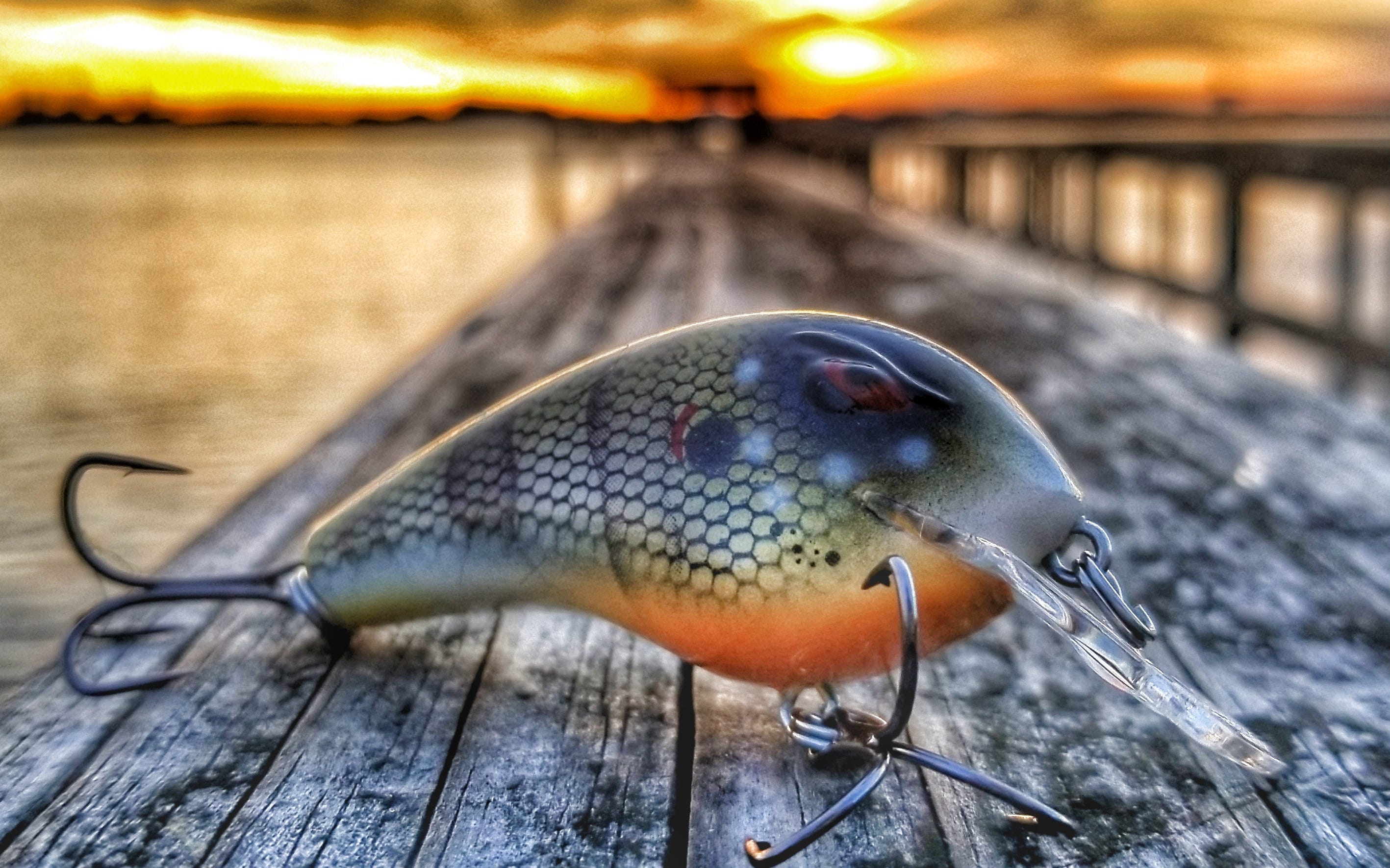 Late fall bass fishing tips