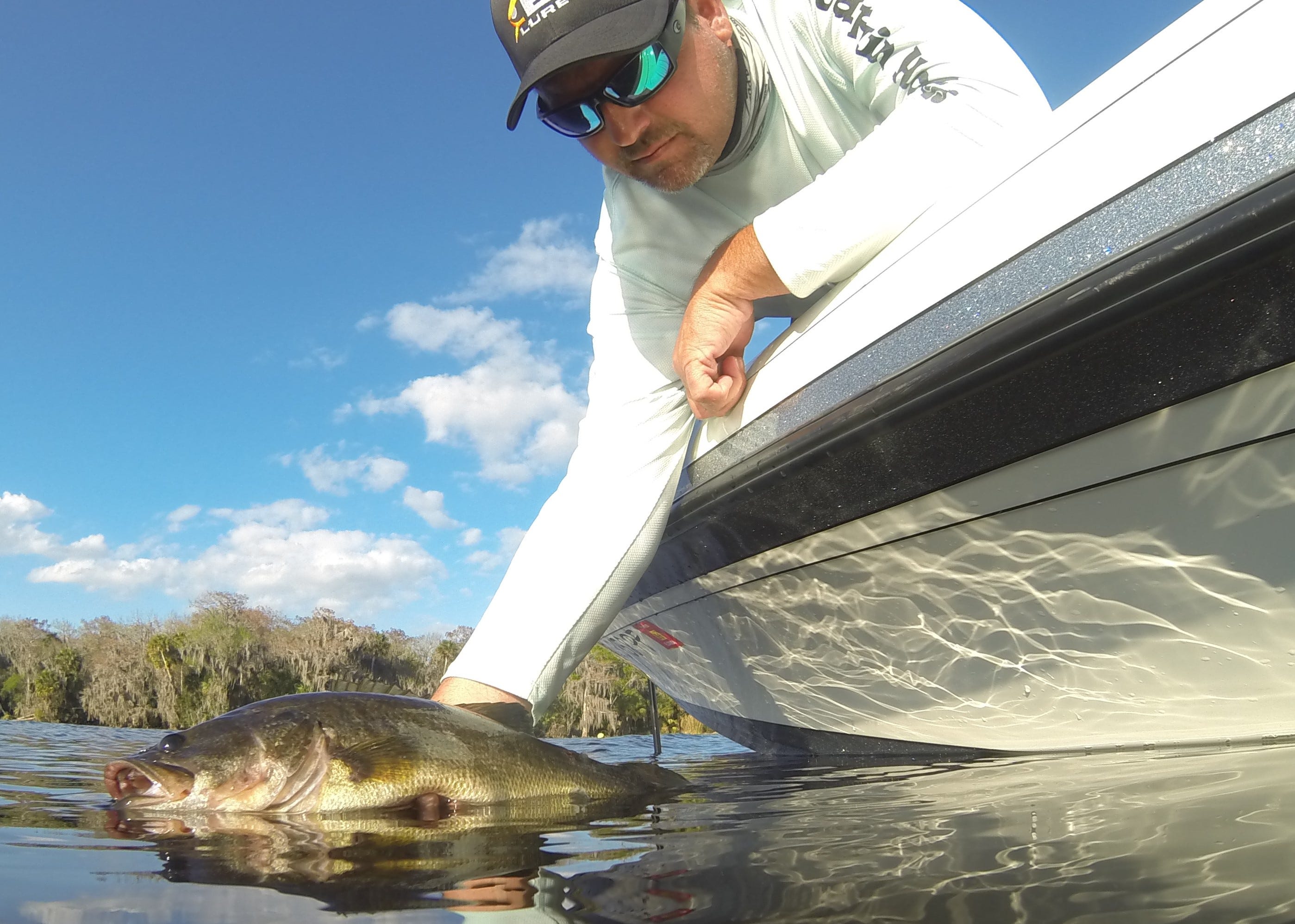 largemouth bass release