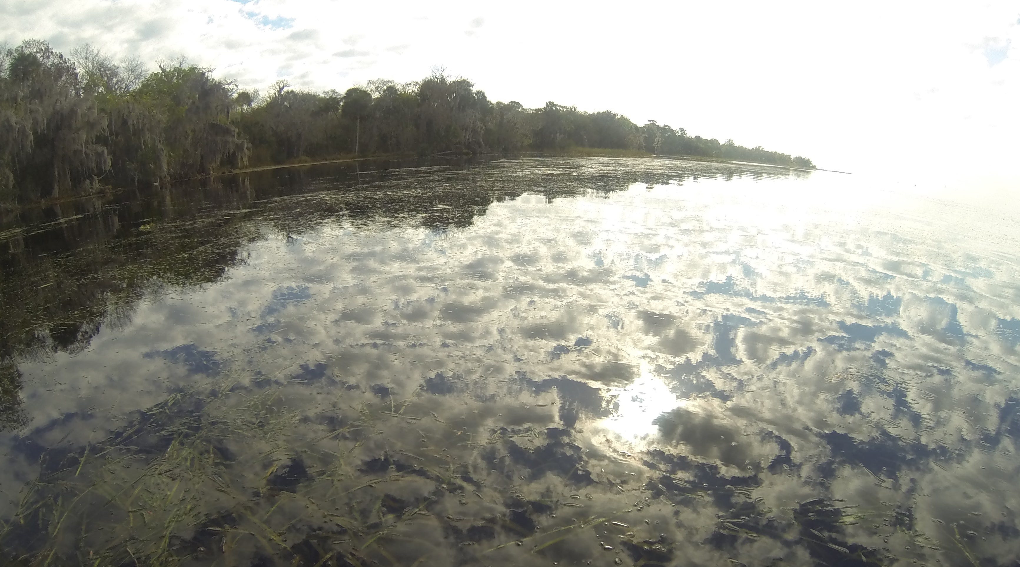 Florida Spawning Float