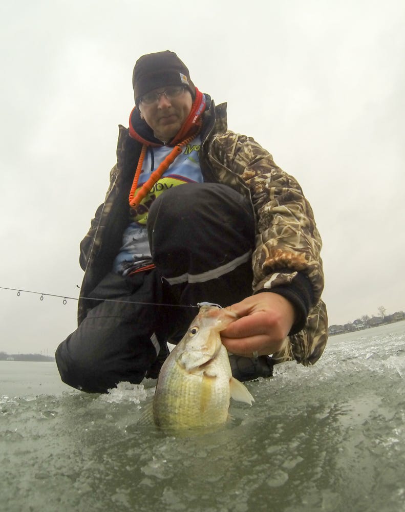 Itty Bit Swim'R Crappie