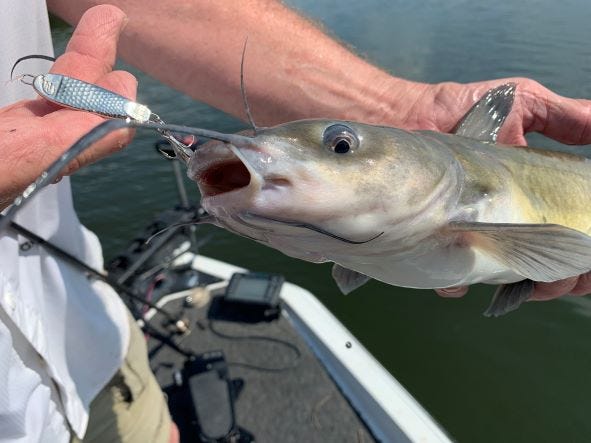 Jigging Spoons for fall fishing success