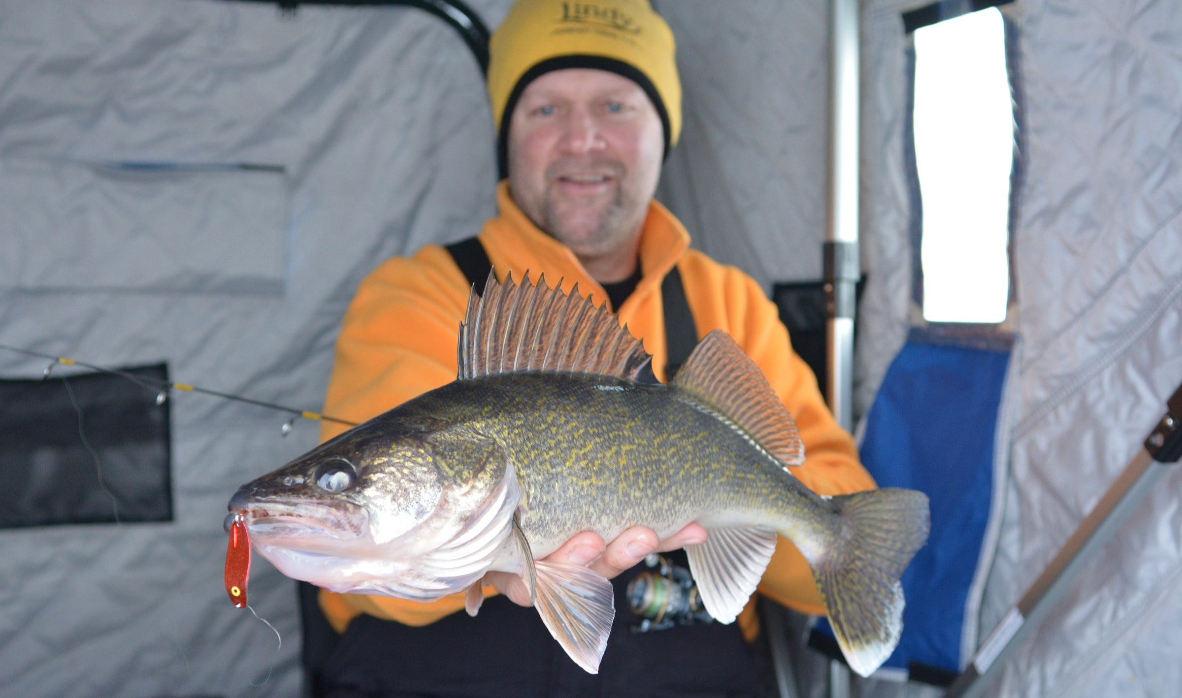 Early ice walleye