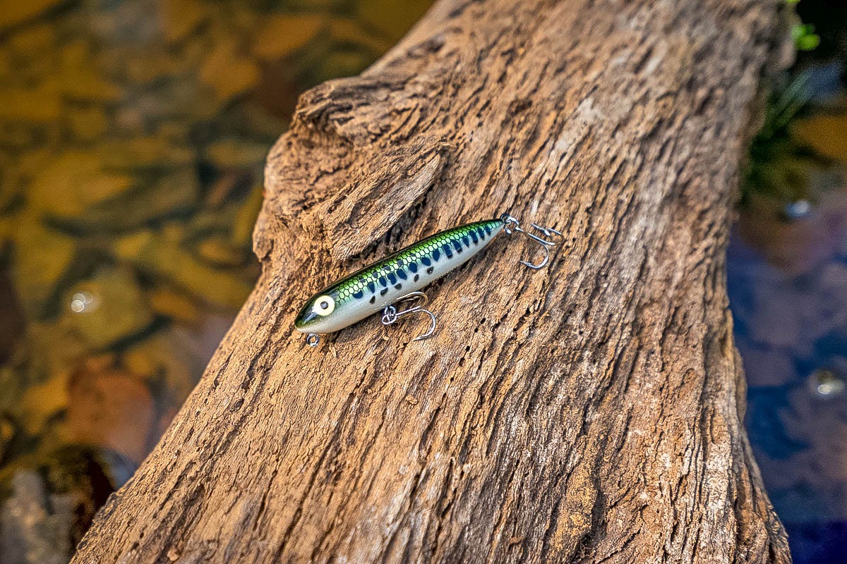 How to choose the right topwater lure