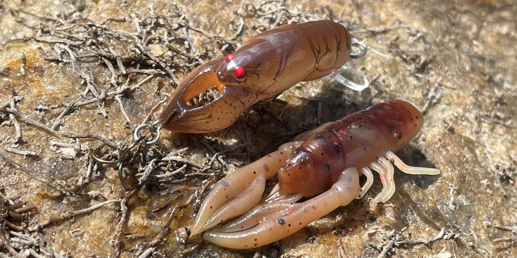 Rebel Crawfish types