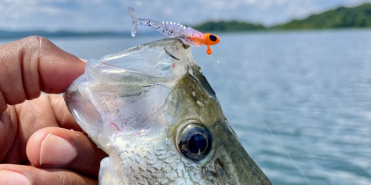 Itty Bit Crappie Lure