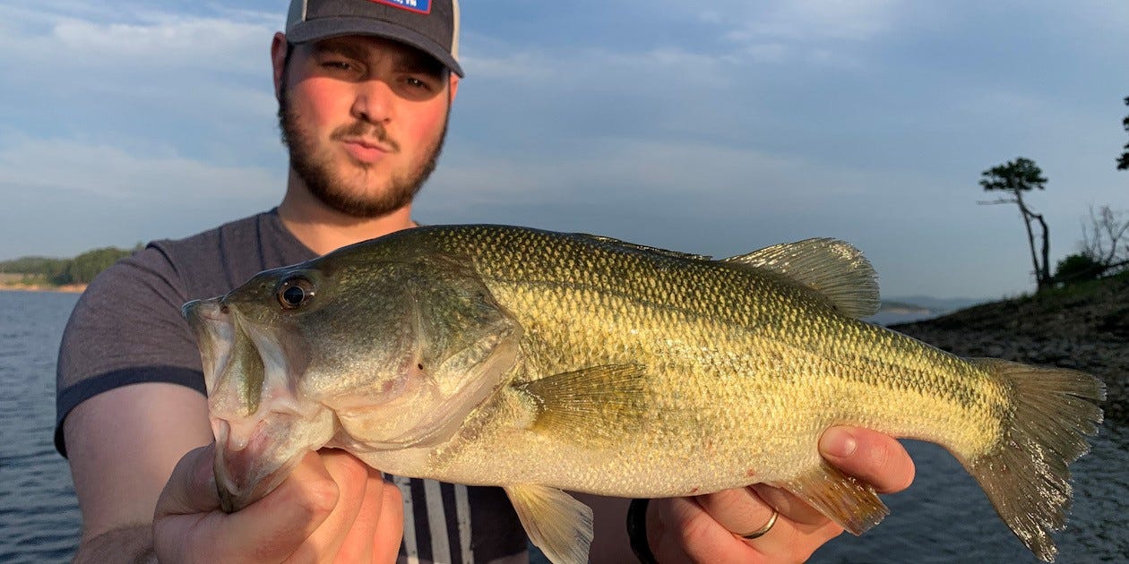 morning topwater bass