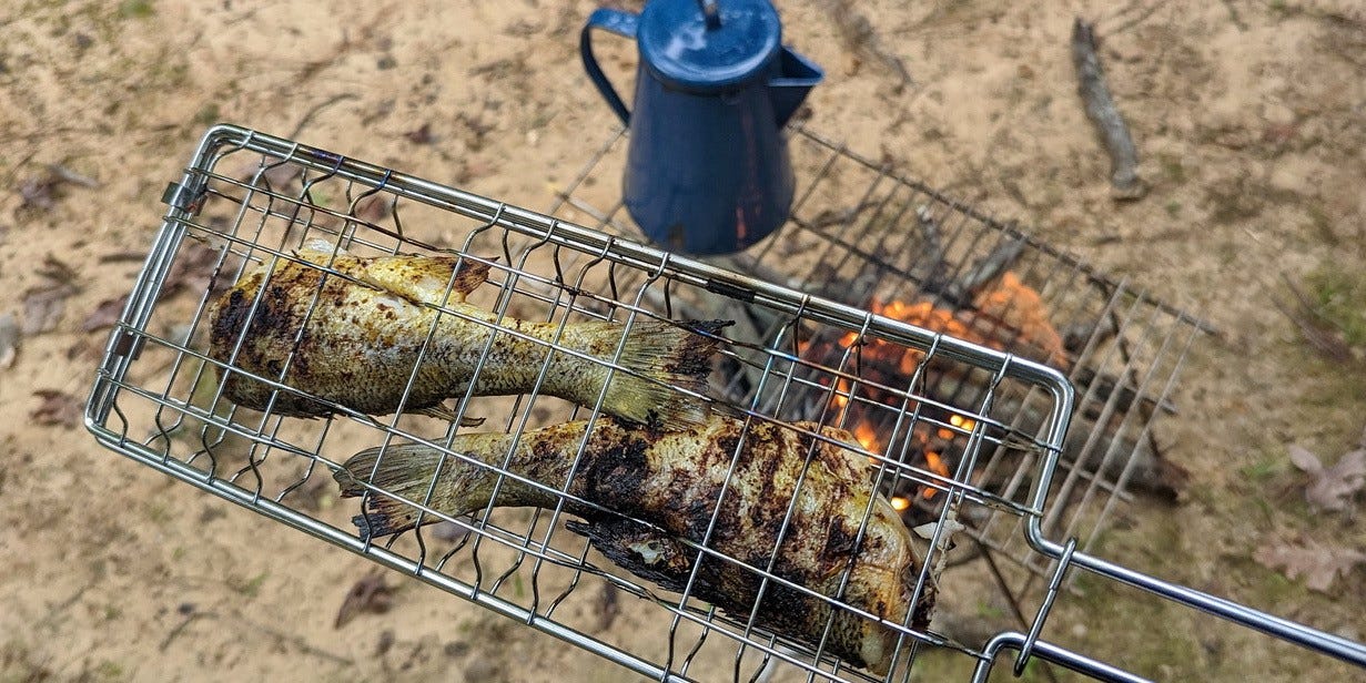 campfire fish cooking