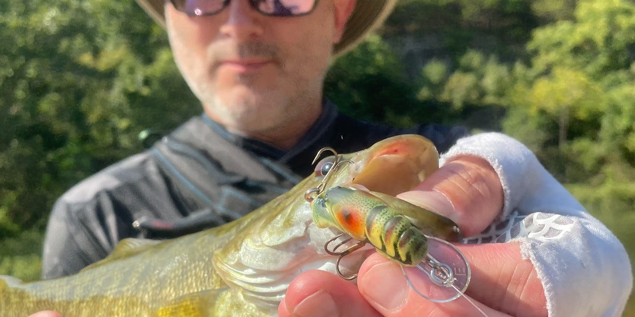 creek smallmouth on Rebel Crawfish