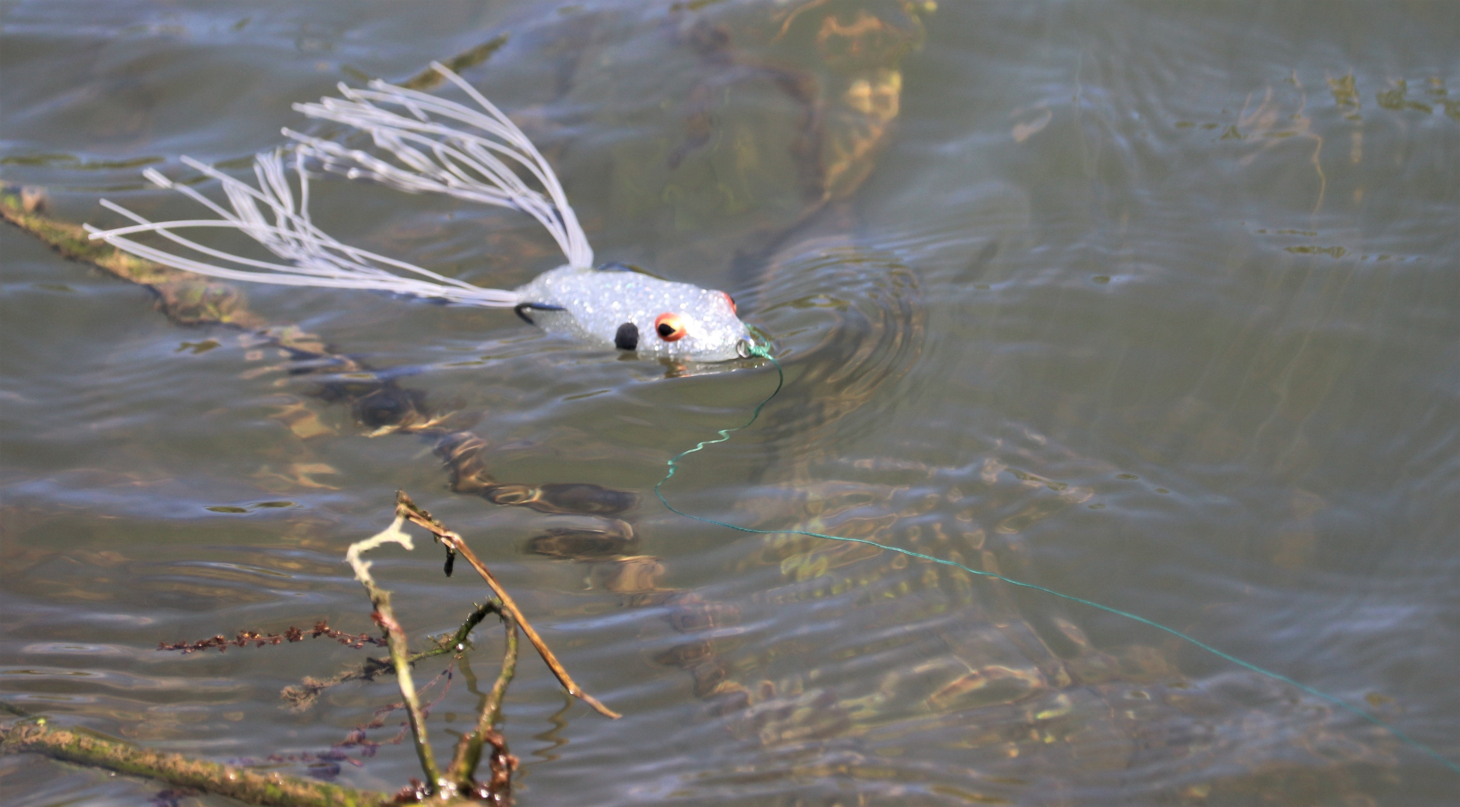 Catch More Bass from Summer Vegetation