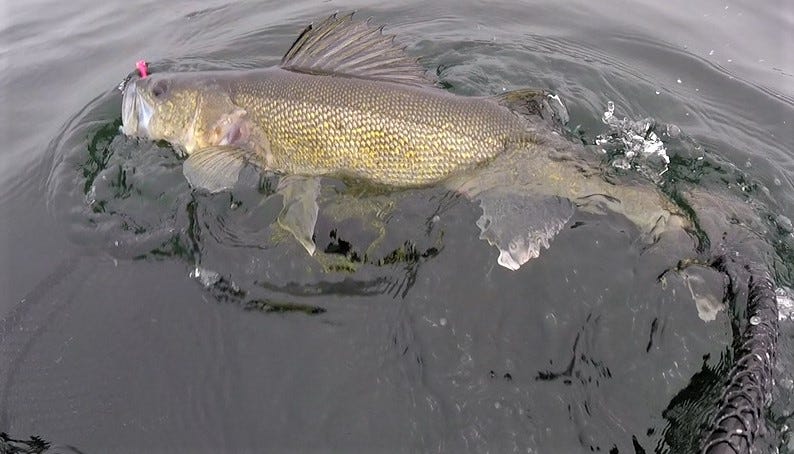 Locating, Jigging & Rigging Early Season Walleye