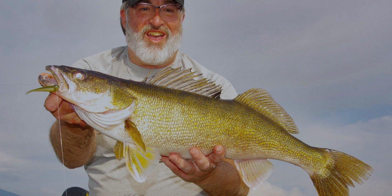 walleye on FF Sonar Minnow