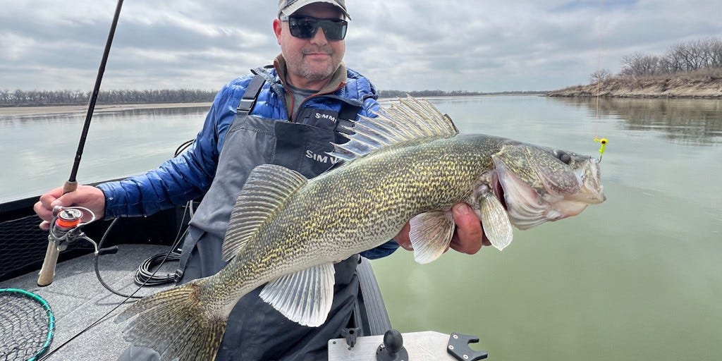 Jason Feldner Missouri River Walleye