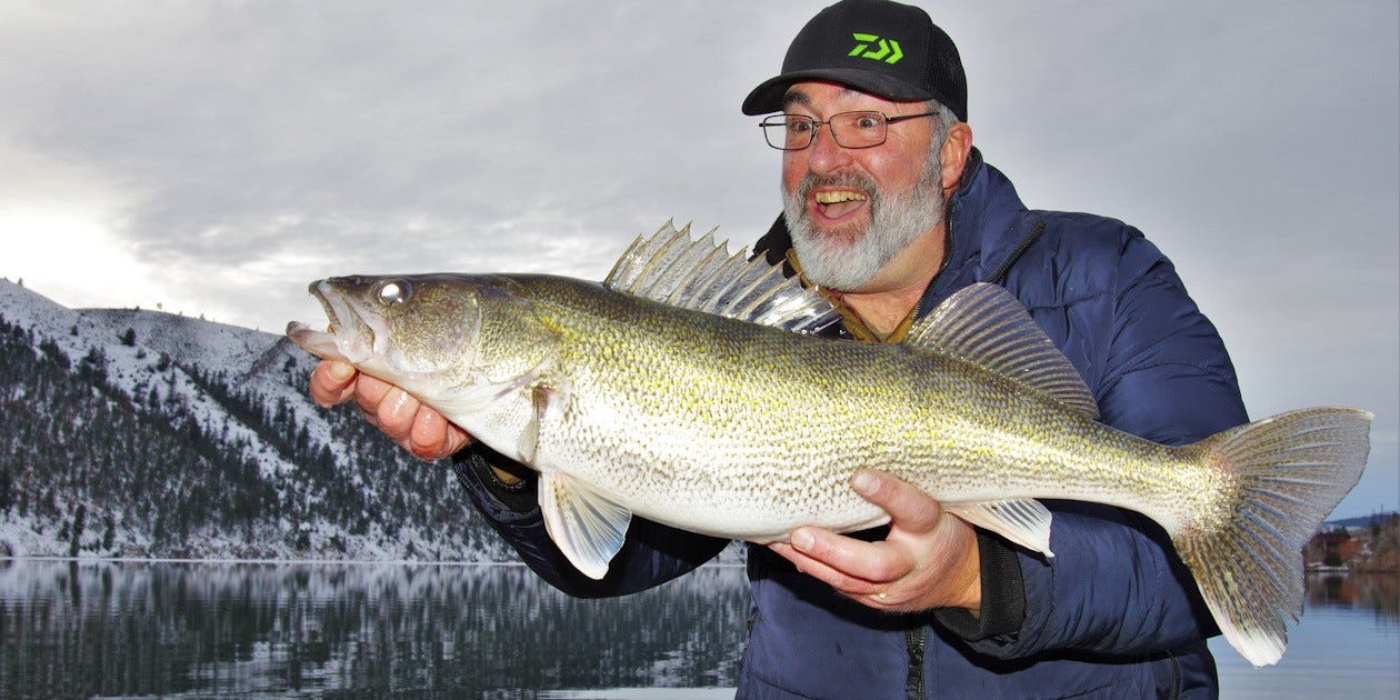 early season walleye