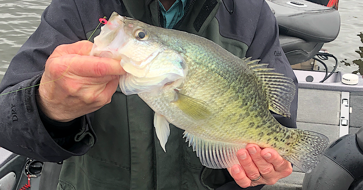 How to Find and Catch Crappie in High Water