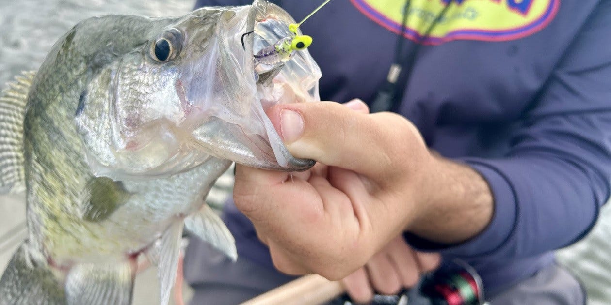 July crappie catch