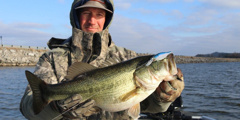 bass caught on jerkbait