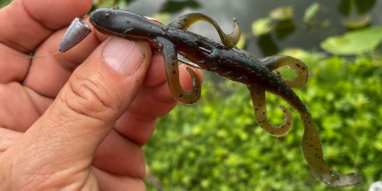 YUM Lizard, custom color