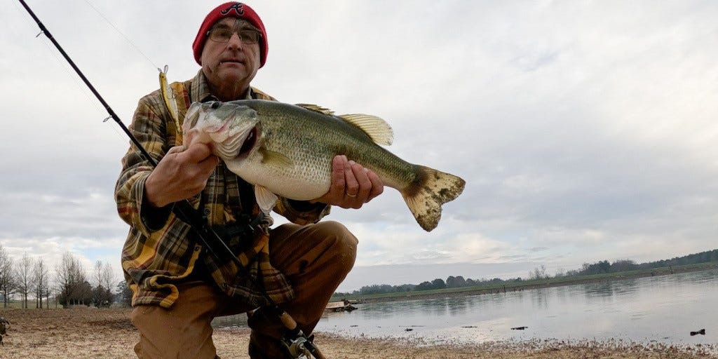 Pond Bass