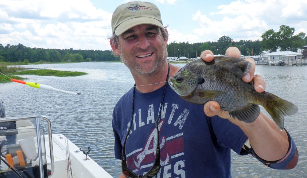 slip bobber bluegill