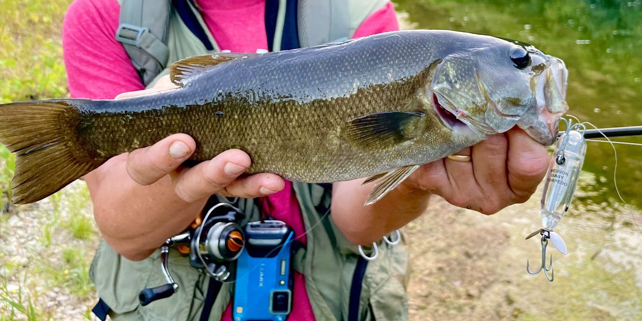 topwater smallmouth bass