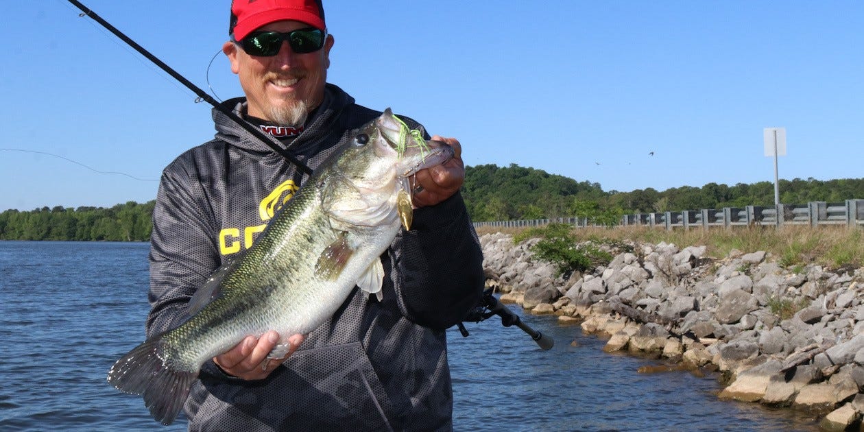 big bass on spinnerbait