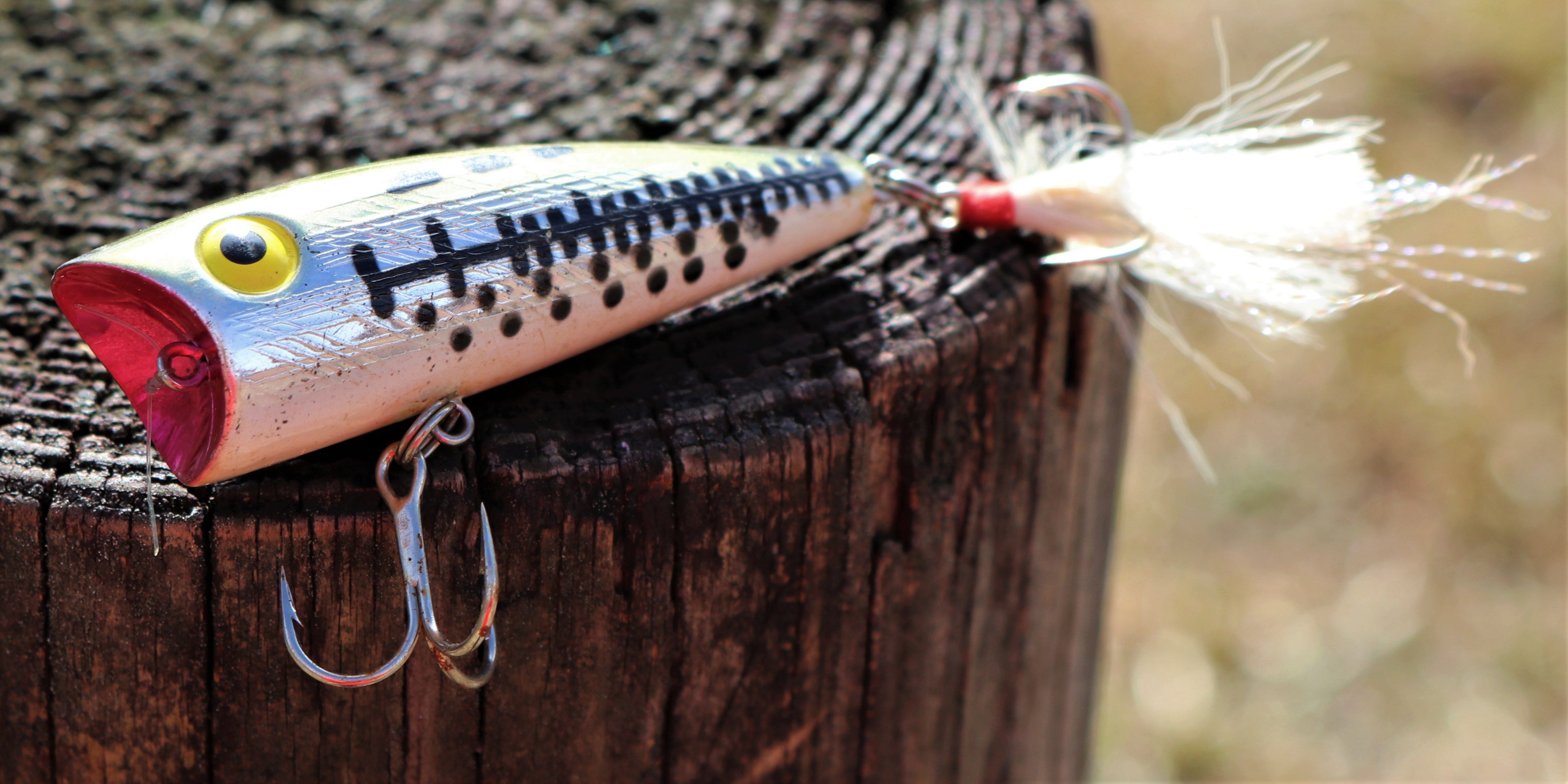 Pop-R Topwater Fishing Lure