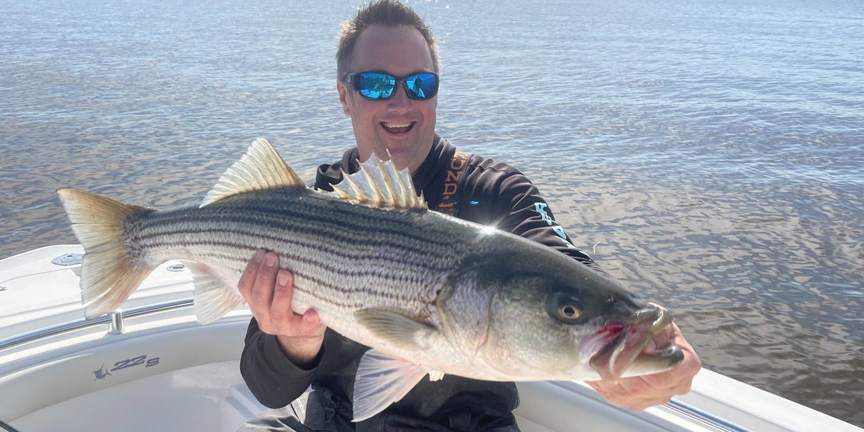 saltwater striped bass