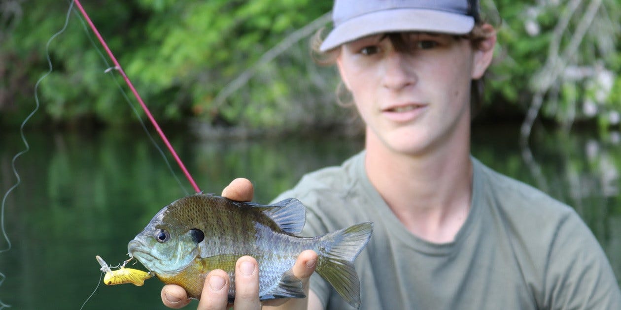 Crickhopper bluegill