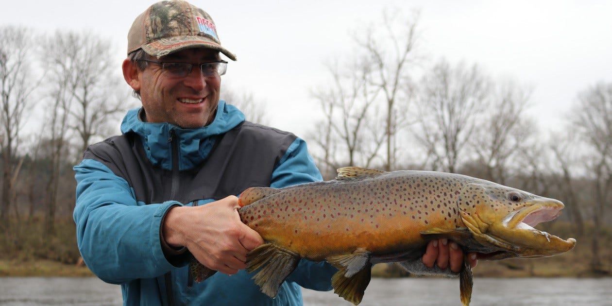 Winter Brown Trout
