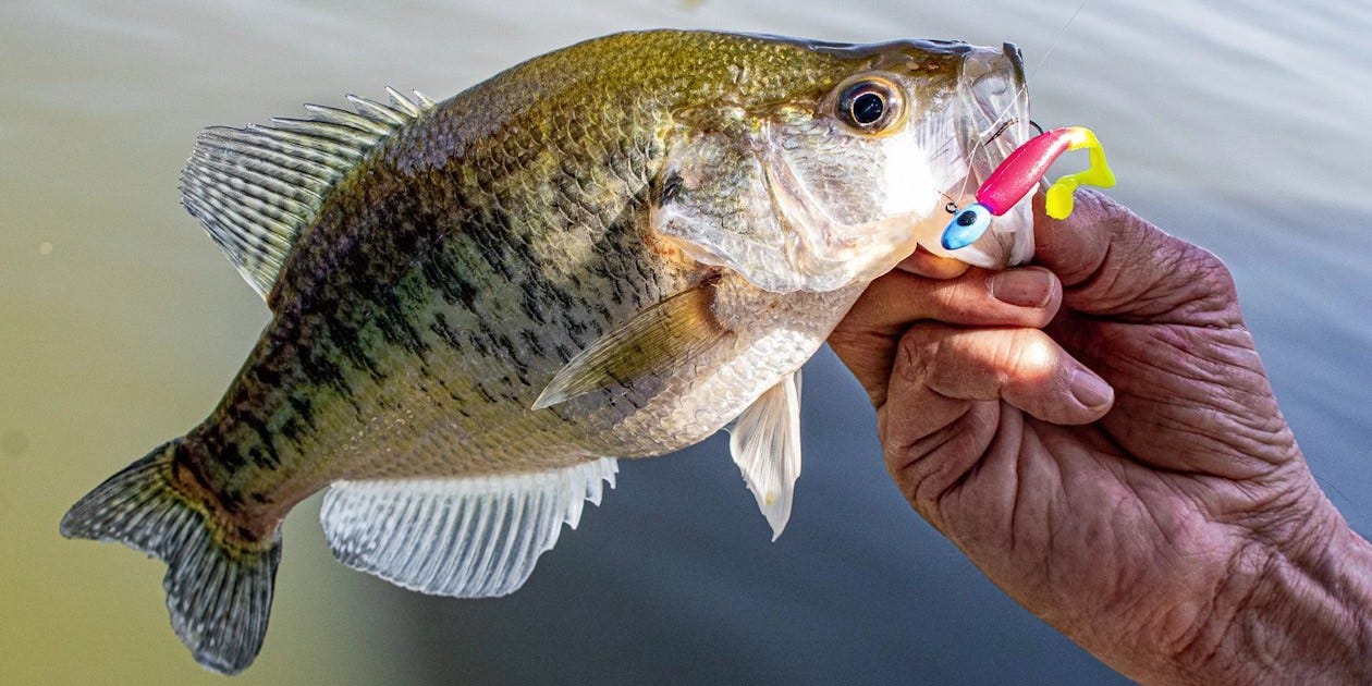 Creek Fishing for Smallmouth Bass - Jades Jigs and Trout Tickler