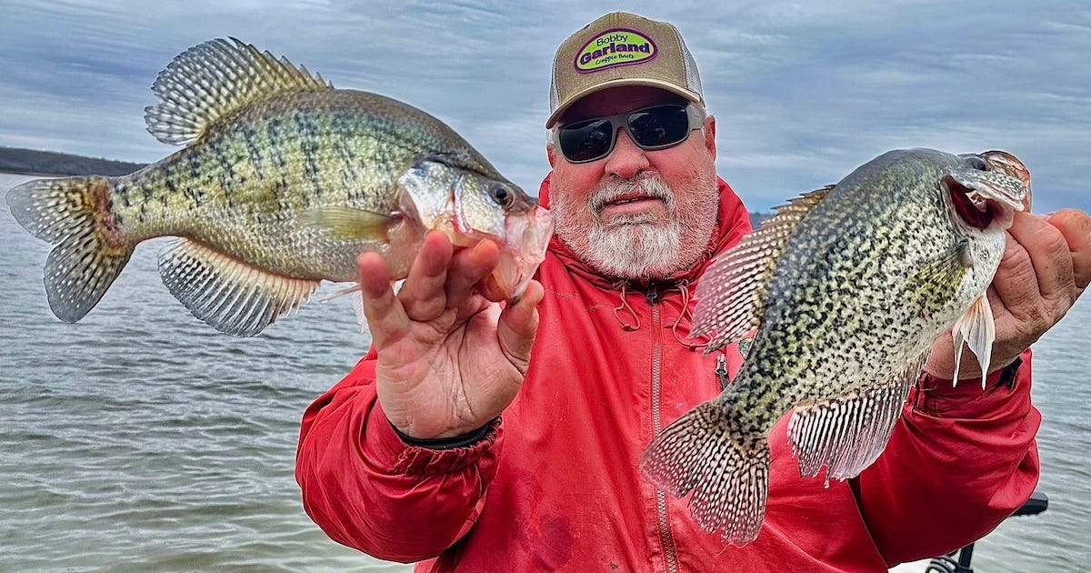 white crappie and black crappie