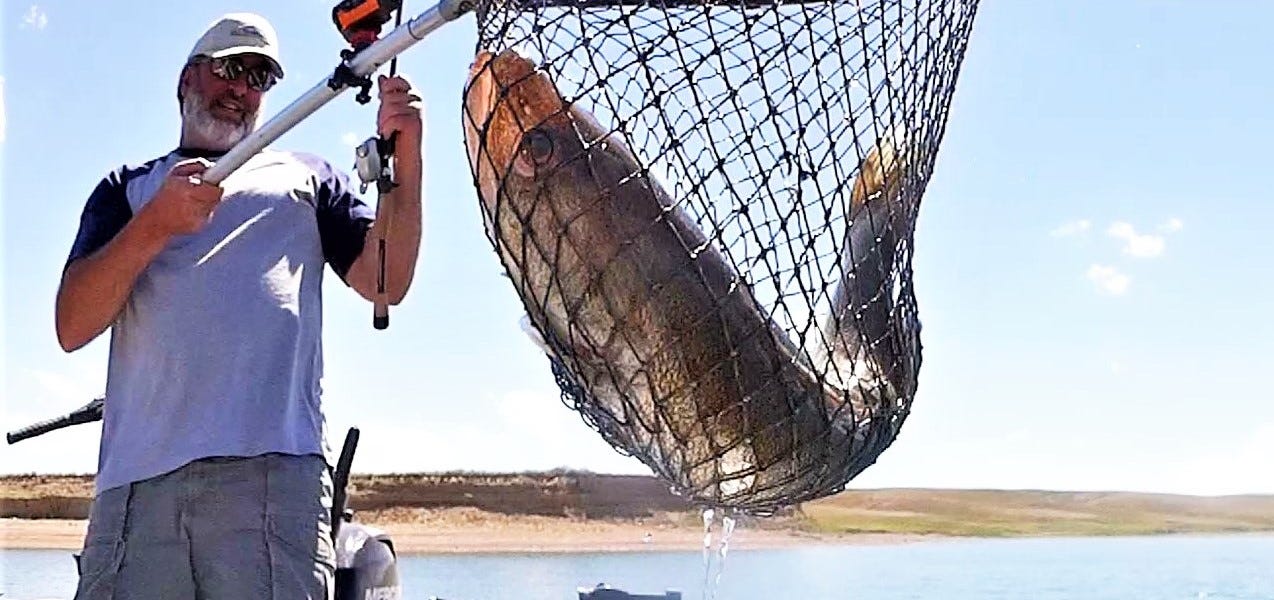 Walleye Landing