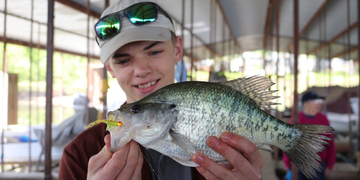 marina dock crappie