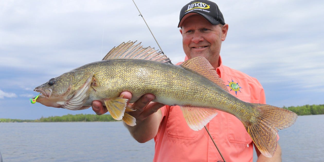 early season walleye