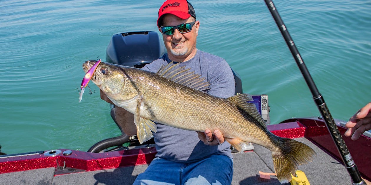 Lake Erie Walleye