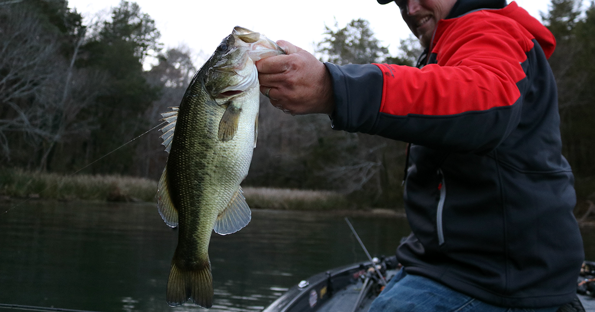 late fall bass