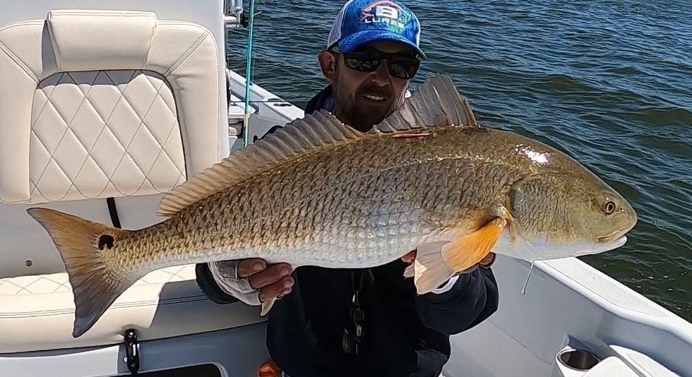 bull redfish catch