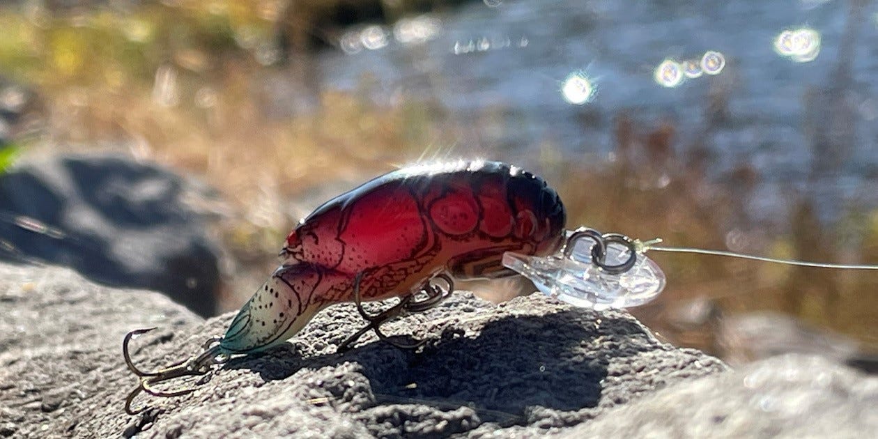 Rebel Teeny Wee Crawfish